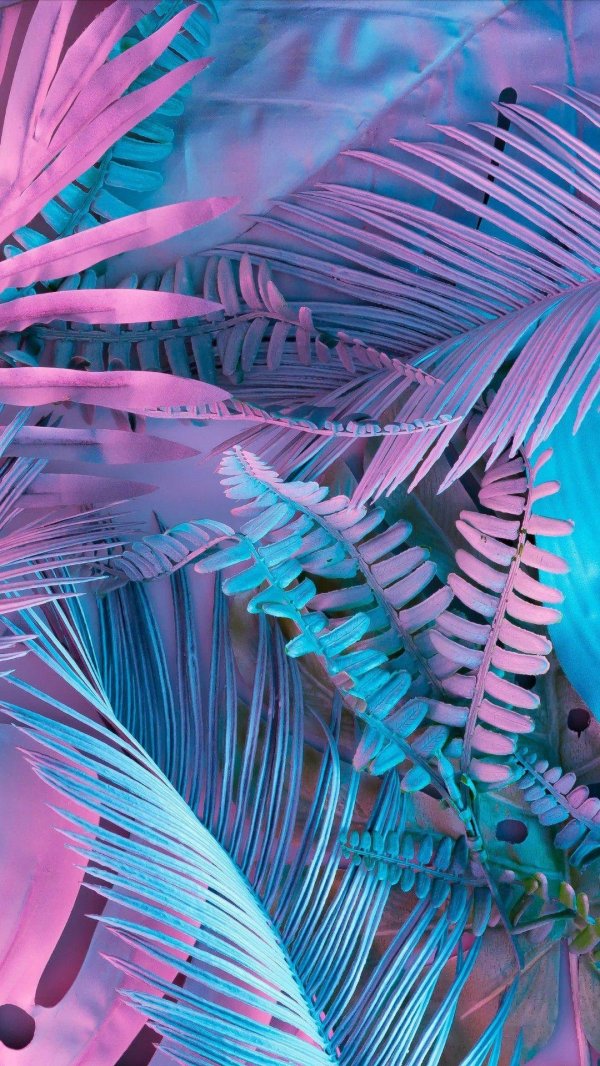 пальмовые листья