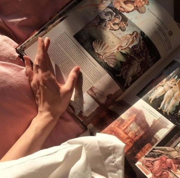 эстетика истории