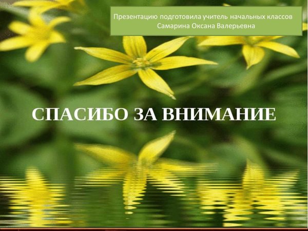 спасибо за внимание растения