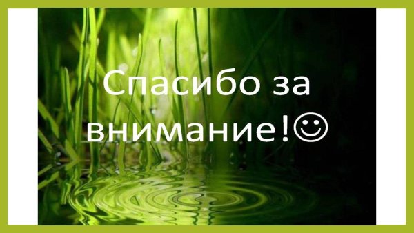 спасибо за внимание зеленое