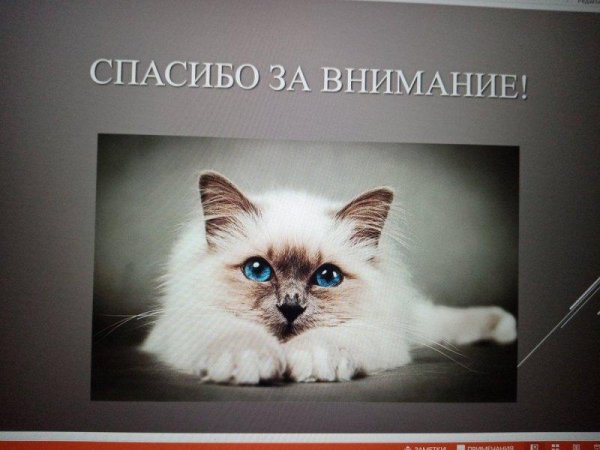 спасибо за внимание