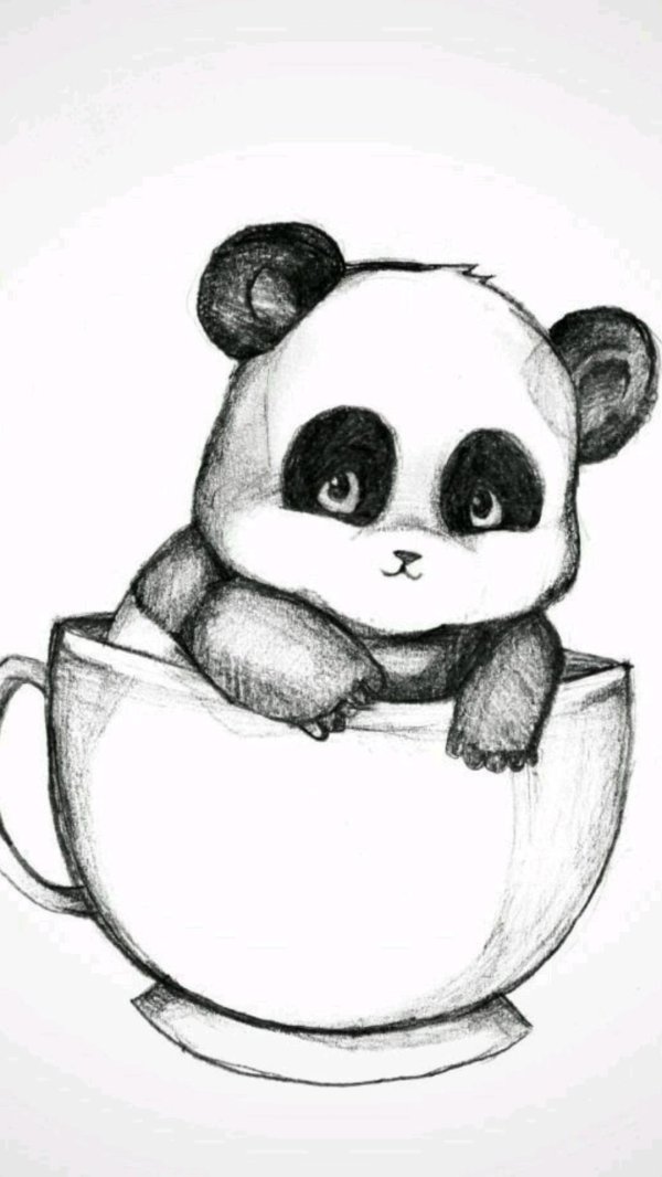 панда набросок