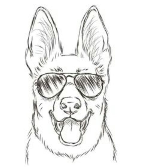овчарка в очках рисунок
