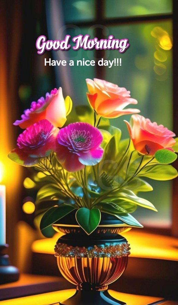 good morning good morning