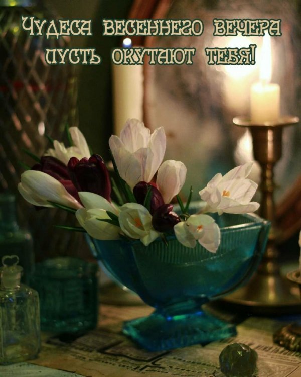 открытка добрый вечер весенняя красивая