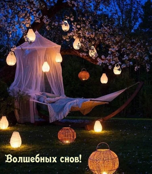 волшебная ночь