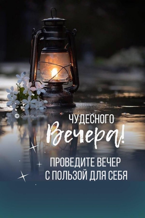 добр вечер