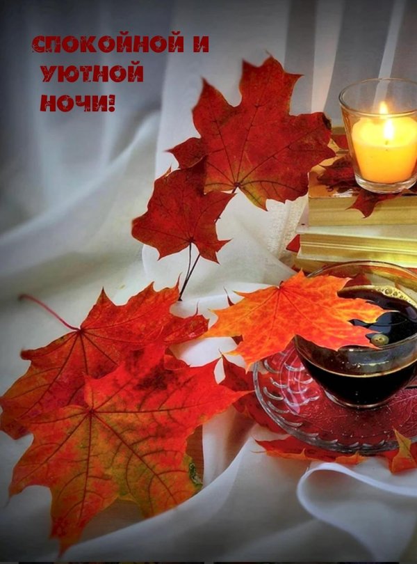 доброй ночи осенней