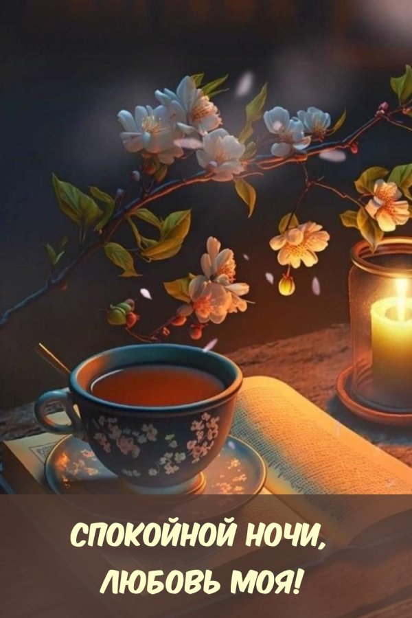 добрая ночь