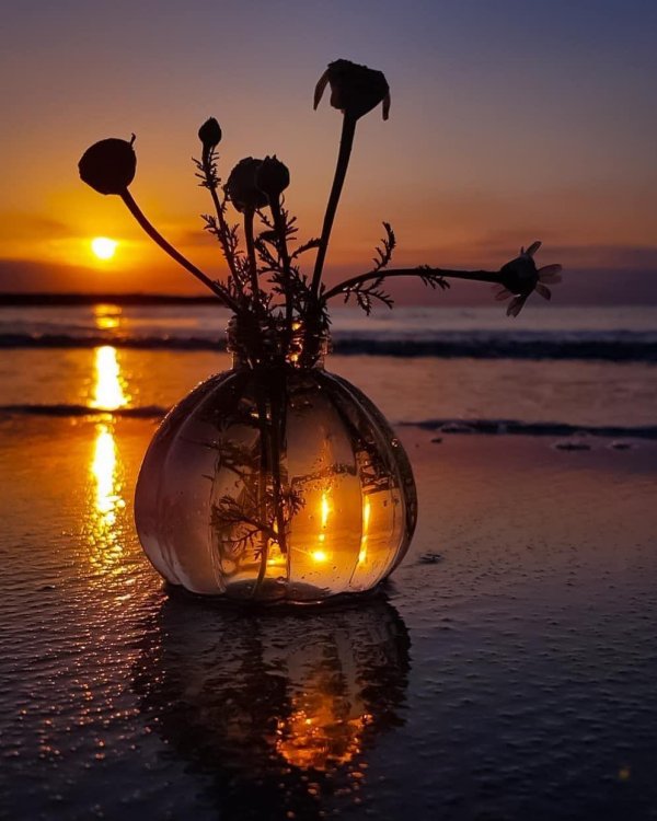 вечера необыкновенного