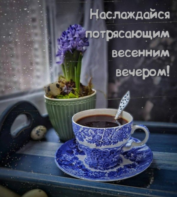 теплого весеннего вечера