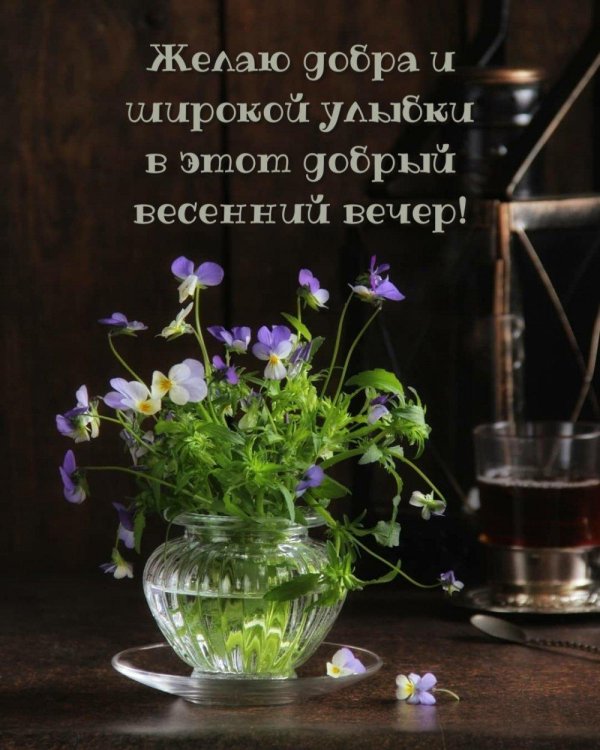 добрый вечер необычные пожелания