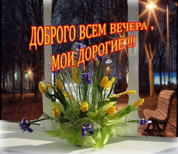добр вечер