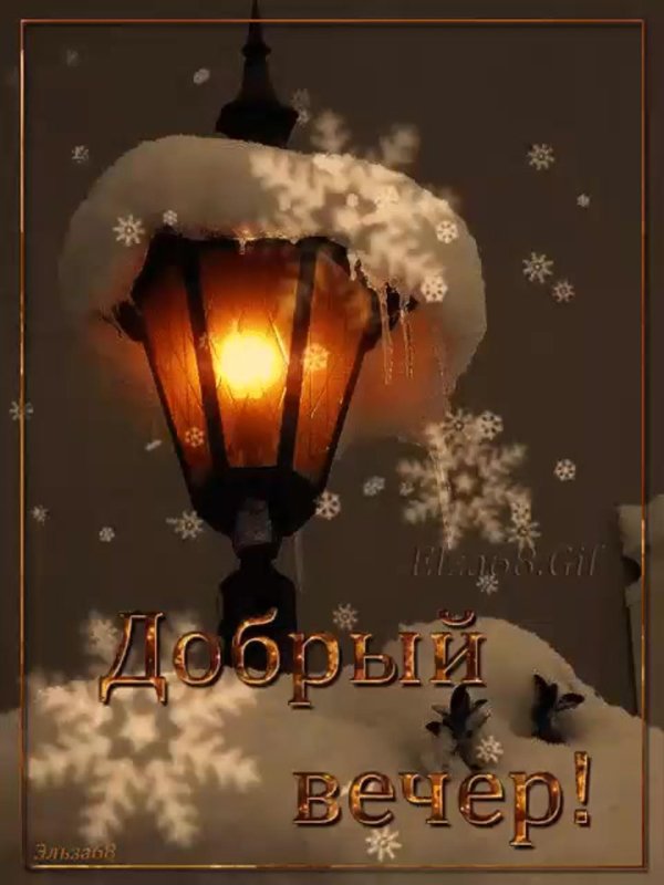 добр вечер