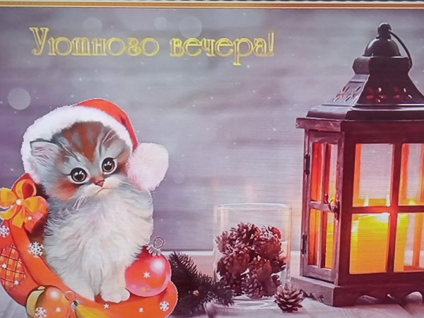 зимний вечер добрый