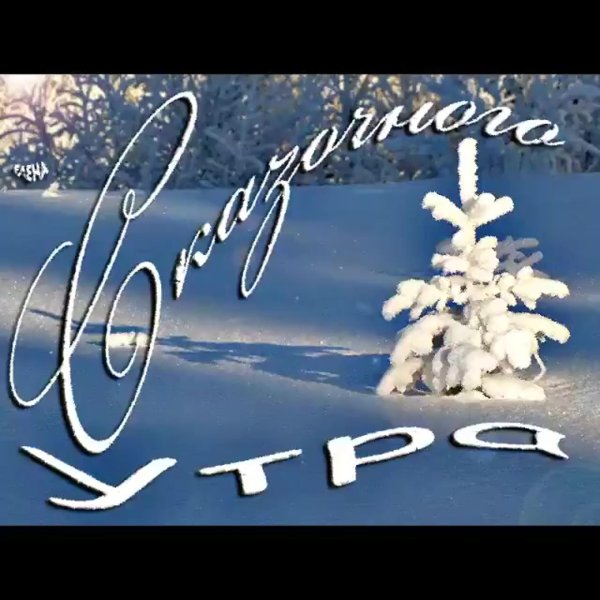 зимнего утра