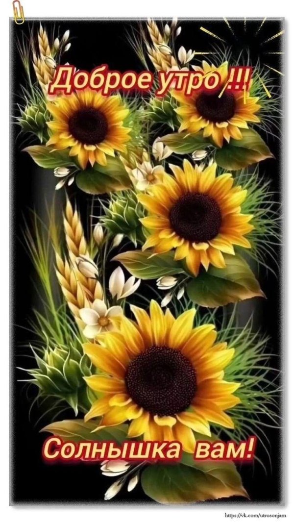 утро доброе утро