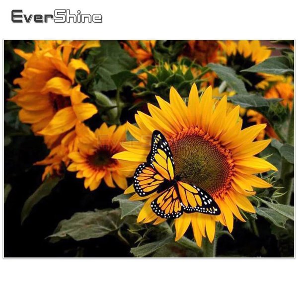 бабочка на подсолнухе