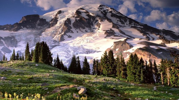 mt rainier national park