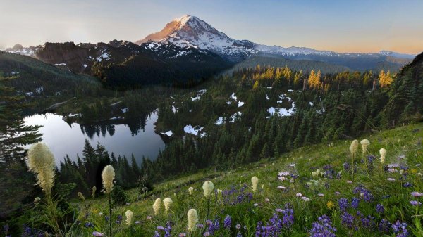 mount rainier washington