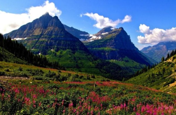glacier national park