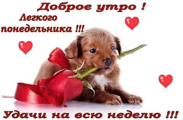 доброго утра легкого понедельника