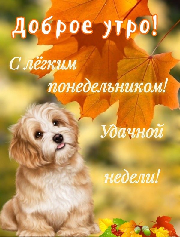Доброго понедельника и удачной недели