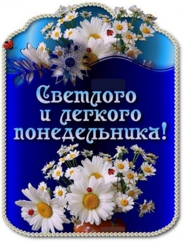 доброго летнего утра понедельника