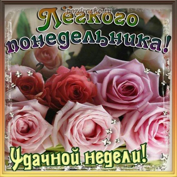 поздравление с понедельником