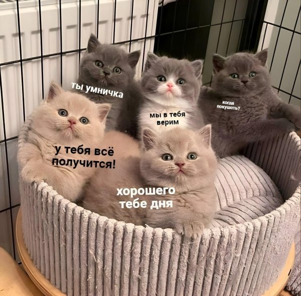 хорошего тебе дня