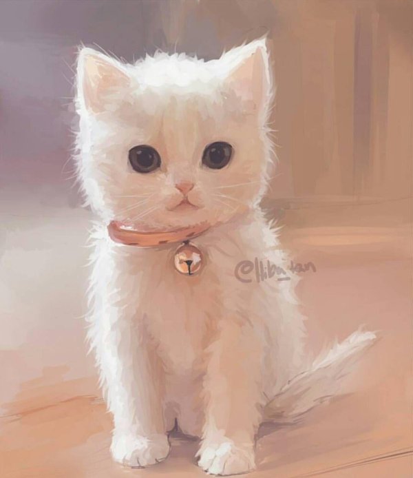 котята милашки