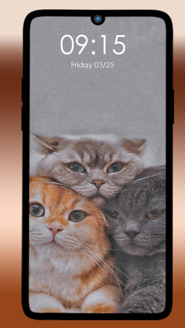 очаровательные котята