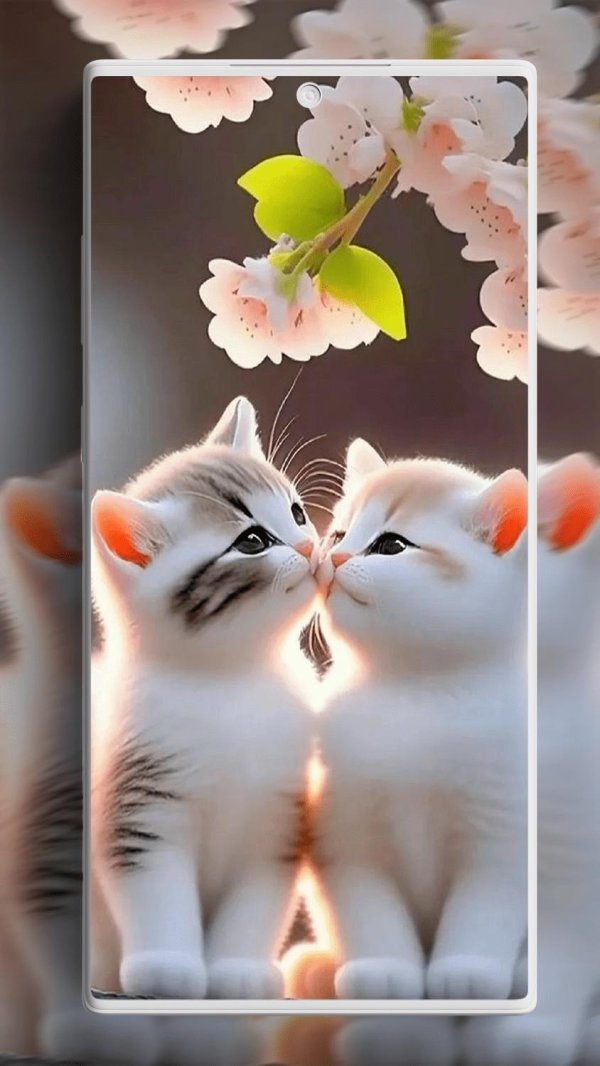 очаровательные котята