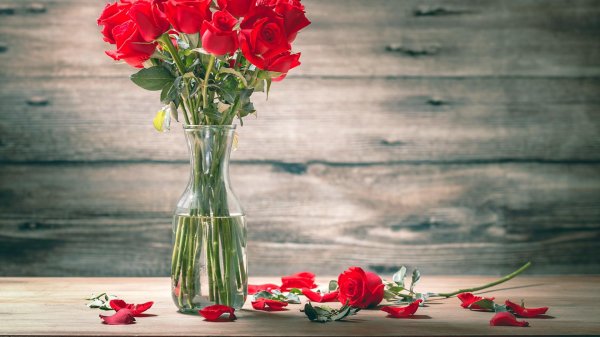 красные розы в вазе