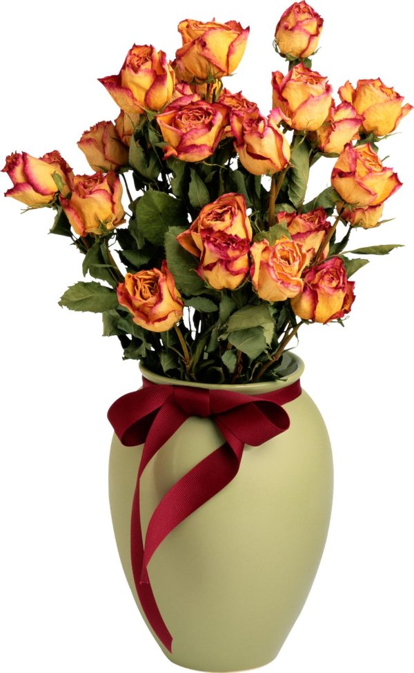 хай мэджик роза