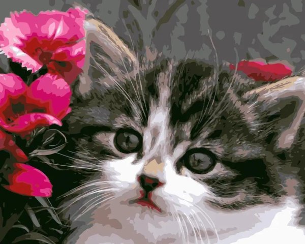 котики с цветами
