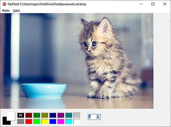 котенок красивый
