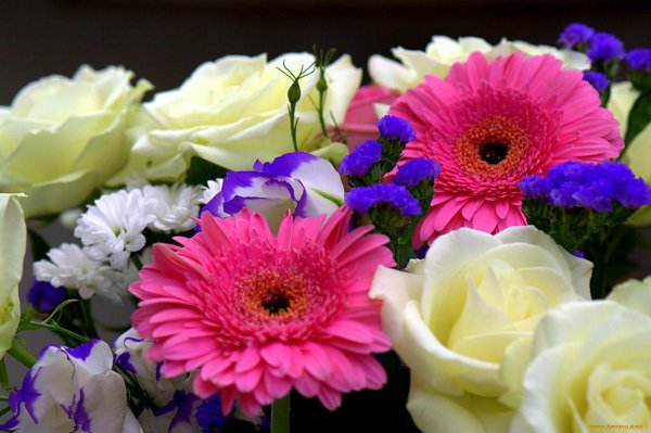 букет красивый цветов