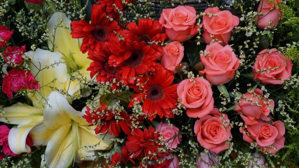 букетов цветов