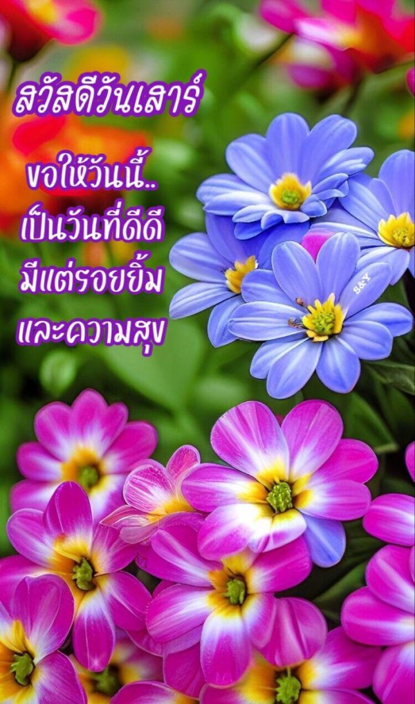 летние цветочки