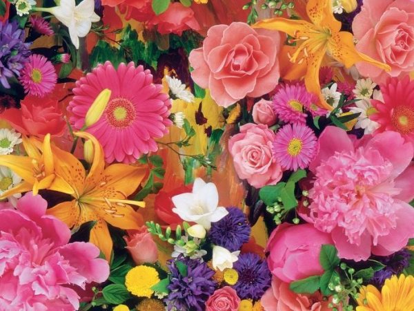 разные цветы