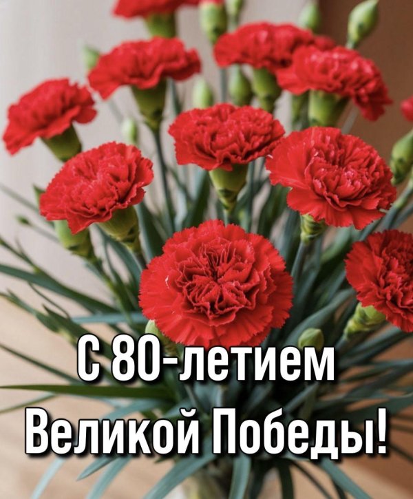 красные гвоздики