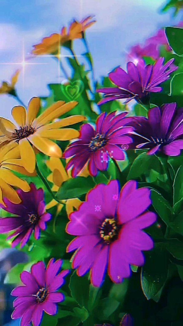 цветок красочный