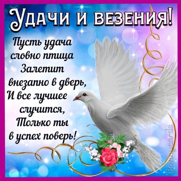 открытки пожелания успеха