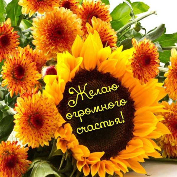 букет подсолнух