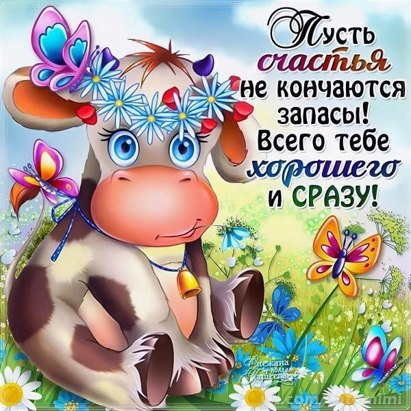 добрые пожелания