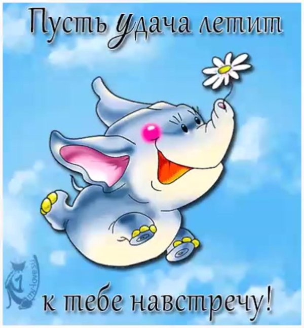 веселые пожелания