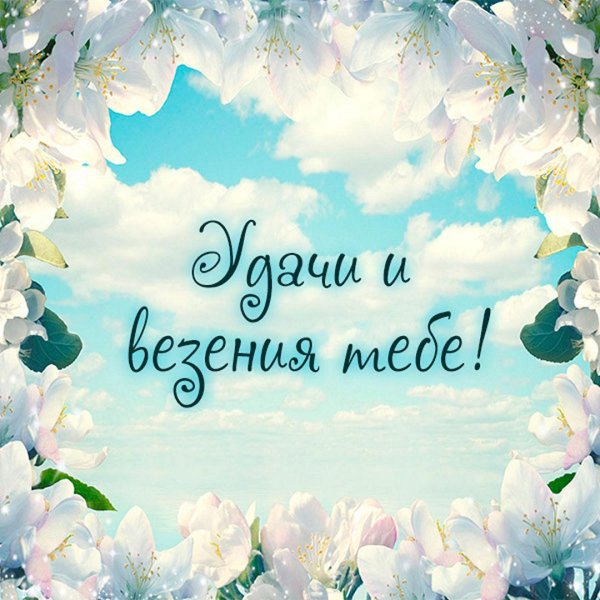 пожалуйста открытка