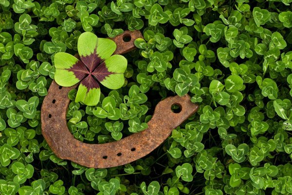 подкова на удачу