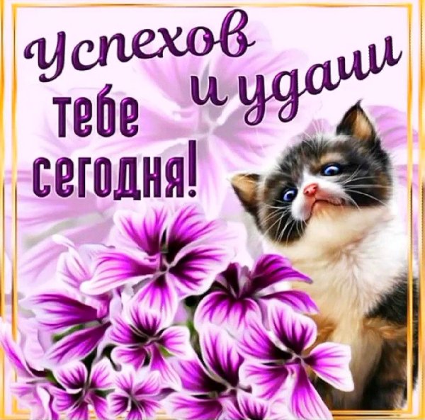 прекрасной среды